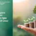 Лісові ресурси Рівненщини: 62,5 млн грн ренти у 2025 році