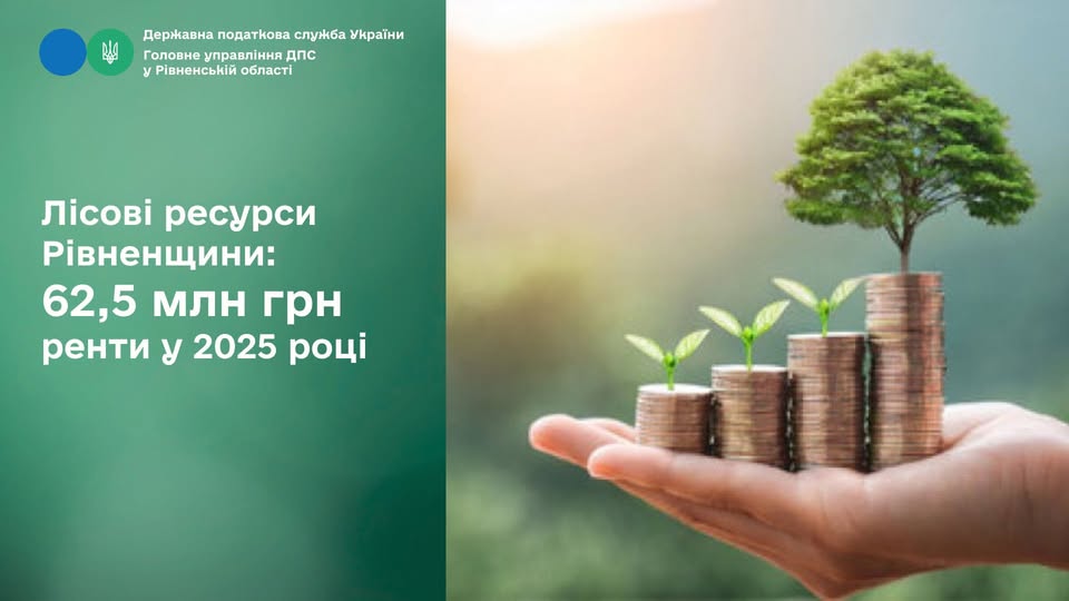 Лісові ресурси Рівненщини: 62,5 млн грн ренти у 2025 році