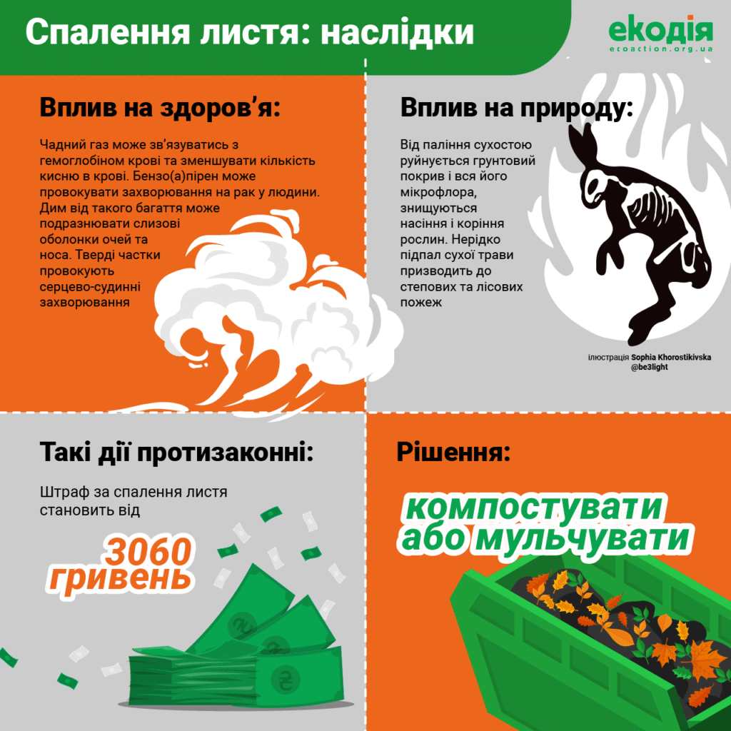 Спалювання сухостою: наслідки