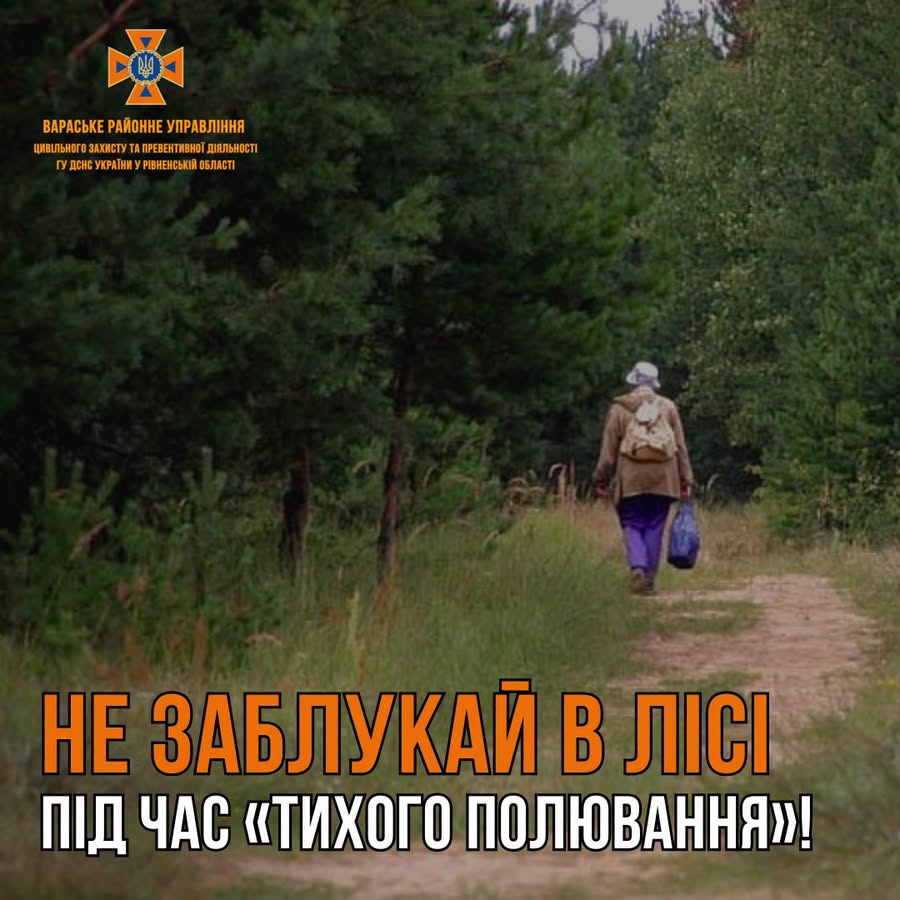 Як не заблукати в лісі: правила безпеки від ДСНС
